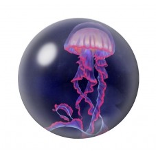 Cabochon en Verre Illustré Mer Été 12 à 25mm pour la création de bijoux fantaisie - DIY