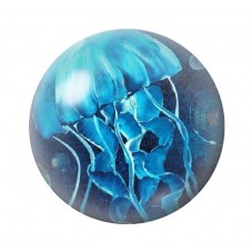 Cabochon en Verre Illustré Mer Été 12 à 25mm pour la création de bijoux fantaisie - DIY
