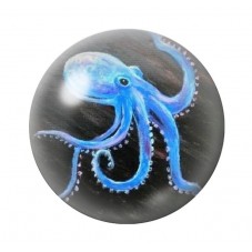 Cabochon en Verre Illustré Mer Été 12 à 25mm pour la création de bijoux fantaisie - DIY