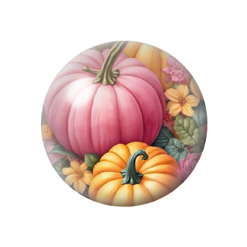 Cabochon en Verre Illustré Citrouilles Halloween 12 à 25mm