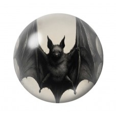 Cabochon en Verre Illustré Chauve-Souris Halloween 12 à 25mm  pour la Création de Bijoux Fantaisie - DIY
