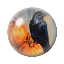 Cabochon en Verre Illustré Corbeau Citrouilles Halloween 12 à 25mm  pour la Création de Bijoux Fantaisie - DIY