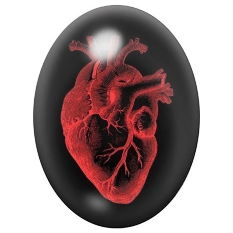 Cabochon en Verre Illustré Cœur Anatomique Rouge sur Fond Noir 13x18, 18x25 ou 30x40mm