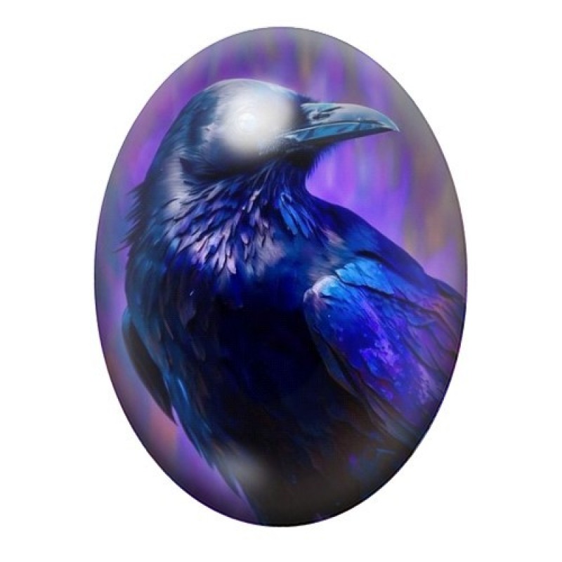 Cabochon en Verre Illustré Corbeau Gothique 13x18, 18x25 ou 30x40mm