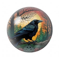 Cabochon en Verre Illustré Corbeau Gothique 12 à 25mm  pour la Création de Bijoux Fantaisie - DIY