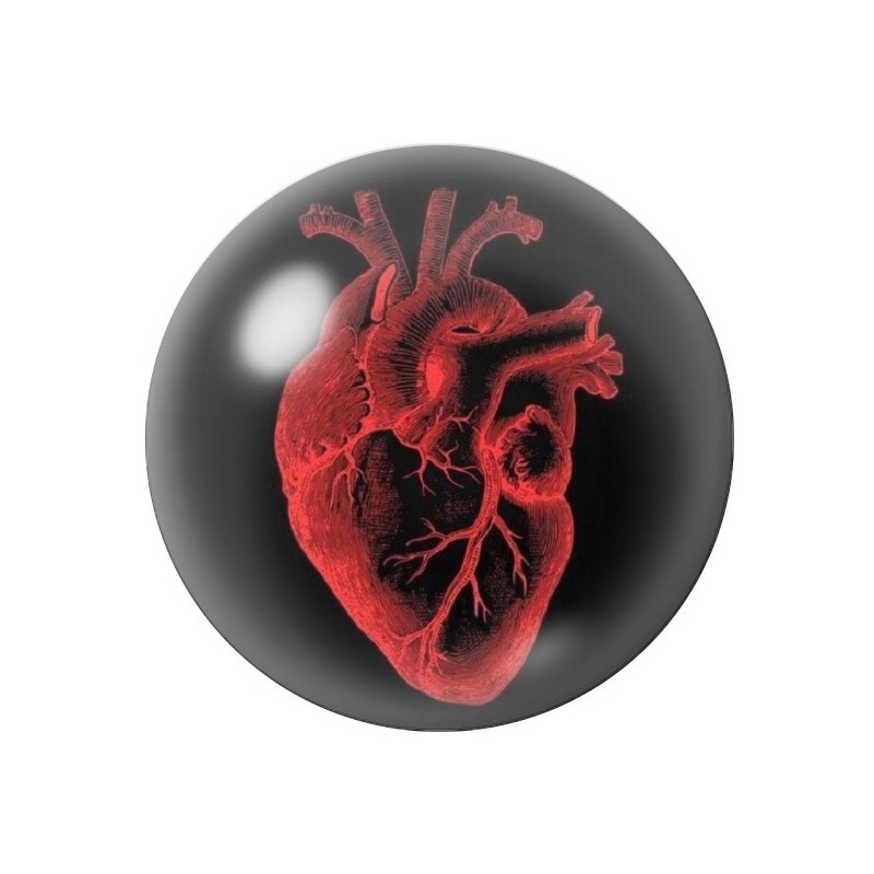 Cabochon en Verre Illustré Coeur Gothique 12 à 25mm