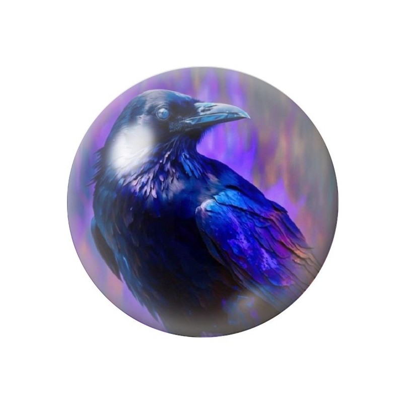 Cabochon en Verre Illustré Corbeau Gothique 12 à 25mm