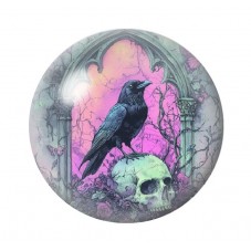 Cabochon en Verre Illustré Corbeau Crâne Gothique 12 à 25mm  pour la Création de Bijoux Fantaisie - DIY