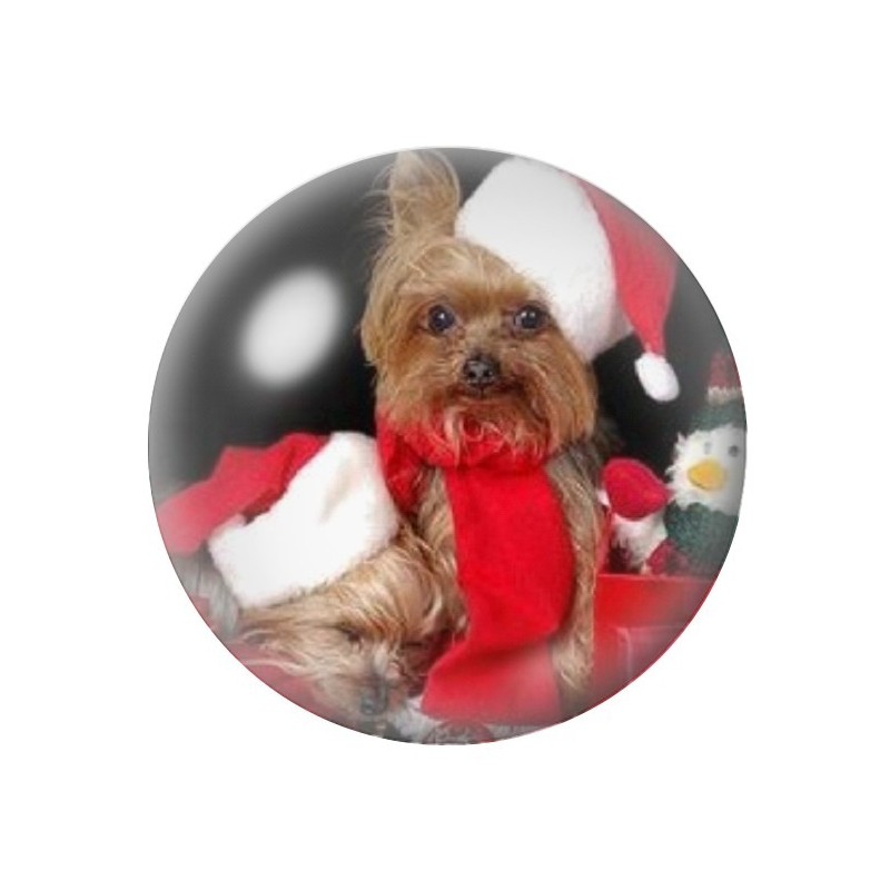 Cabochon en Verre Illustré Yorkshire Chien Noël 12 à 25mm