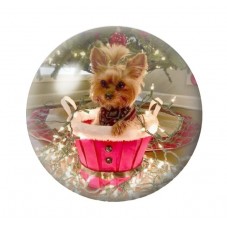 Cabochon en Verre Illustré Noël 12 à 25mm pour la création de bijoux fantaisie - DIY