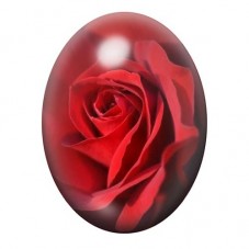 Cabochon en Verre Illustré Rose Rouge en Gros Plan 13x18, 18x25 ou 30x40mm pour la création de bijoux fantaisie - DIY