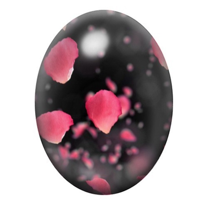 Cabochon en Verre Illustré Pétales de Rose sur Fond Noir 13x18, 18x25 ou 30x40mm
