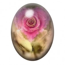 Cabochon en Verre Illustré Rose Rose au Charme Sépia 13x18, 18x25 ou 30x40mm pour la création de bijoux fantaisie - DIY