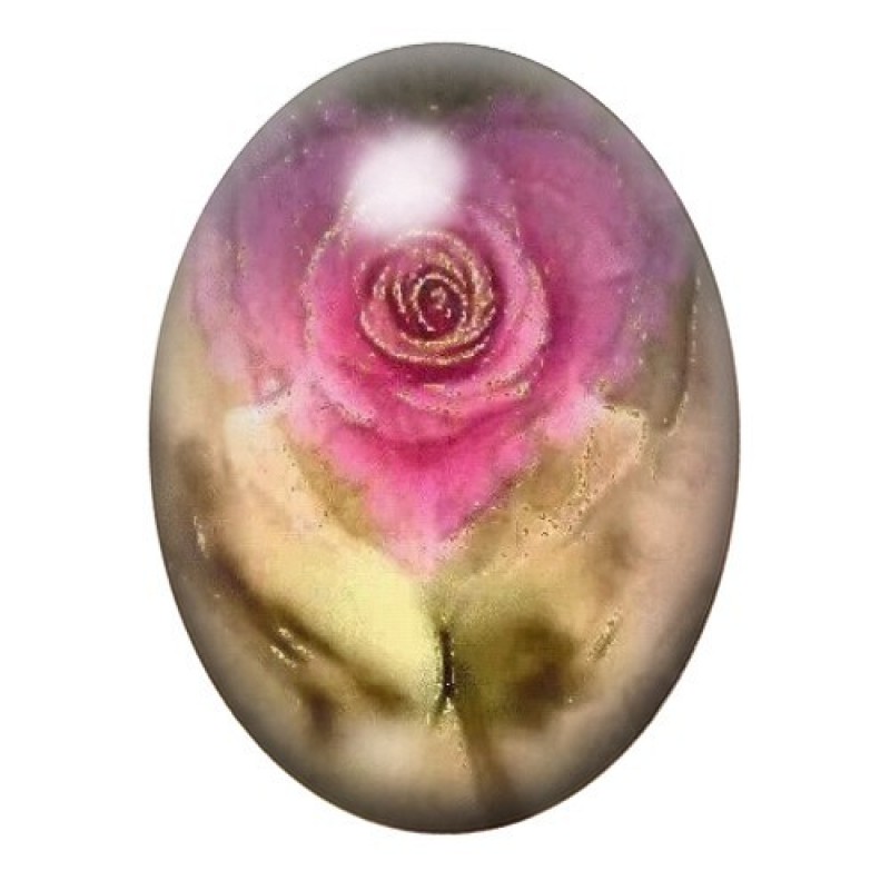 Cabochon en Verre Illustré Rose Rose au Charme Sépia 13x18, 18x25 ou 30x40mm
