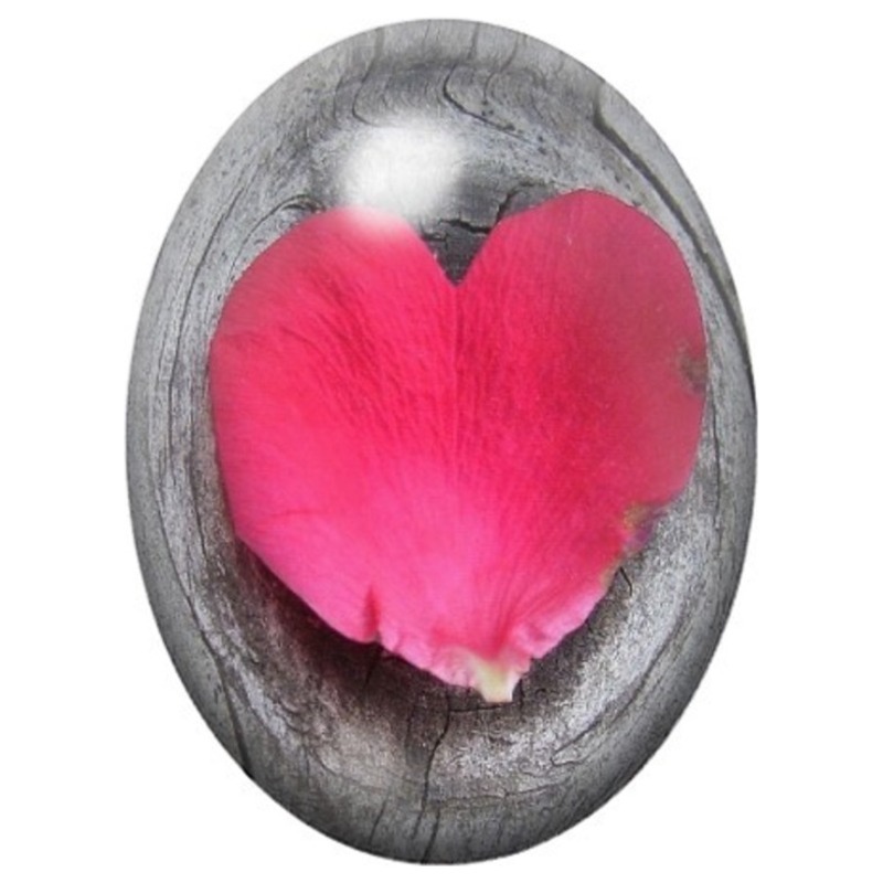 Cabochon en Verre Illustré Pétale de Rose Rose sur Bois 13x18, 18x25 ou 30x40mm