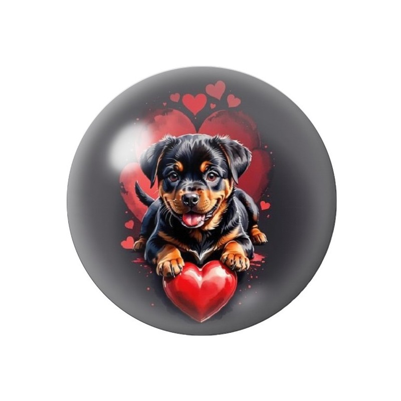 Cabochon en Verre Illustré Rottweiler Coeur Amour St Valentin 12 à 25mm