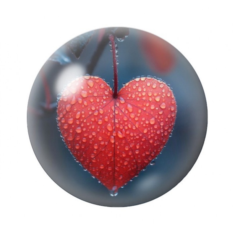 Cabochon en Verre Illustré Feuille Coeur Amour St Valentin 12 à 25mm