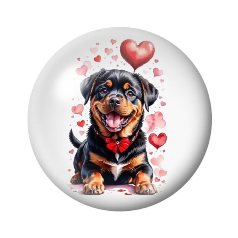 Cabochon en Verre Illustré Rottweiler Coeurs Amour St Valentin 12 à 25mm