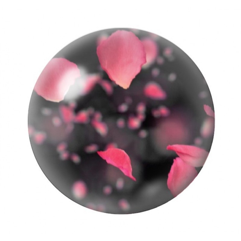 Cabochon en Verre Illustré Pétales de Rose Amour St Valentin 12 à 25mm