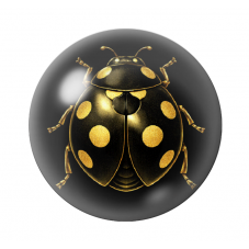 Cabochon en Verre Illustré Coccinelle Noir et Or 12 à 25mm  pour la Création de Bijoux Fantaisie - DIY