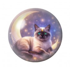 Cabochon en Verre Illustré Chat 12 à 25mm pour la création de bijoux fantaisie - DIY