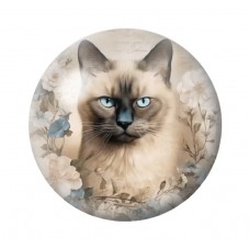 Cabochon en Verre Illustré Chat 12 à 25mm pour la création de bijoux fantaisie - DIY