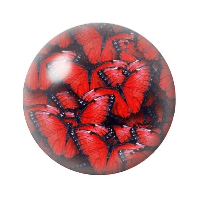 Cabochon en Verre Illustré Papillon 12 à 25mm