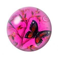 Cabochon en Verre Illustré Papillons 12 à 25mm pour la création de bijoux fantaisie - DIY