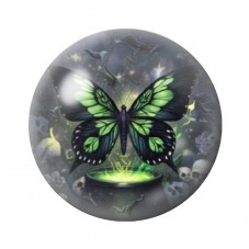 Cabochon en Verre Illustré Papillon 12 à 25mm pour la création de bijoux fantaisie - DIY