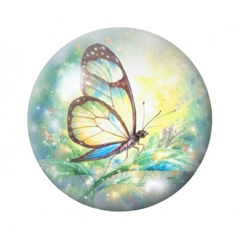 Cabochon en Verre Illustré Papillon 12 à 25mm