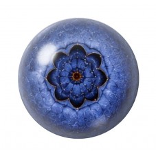Cabochon en Verre Illustré Myrtille 12 à 25mm  pour la Création de Bijoux Fantaisie - DIY