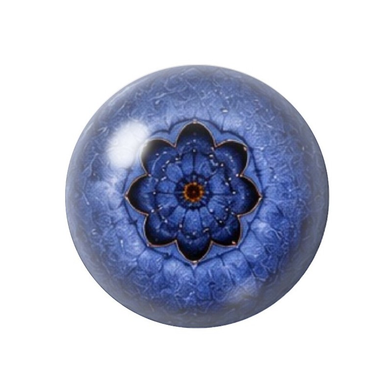 Cabochon en Verre Illustré Myrtille 12 à 25mm