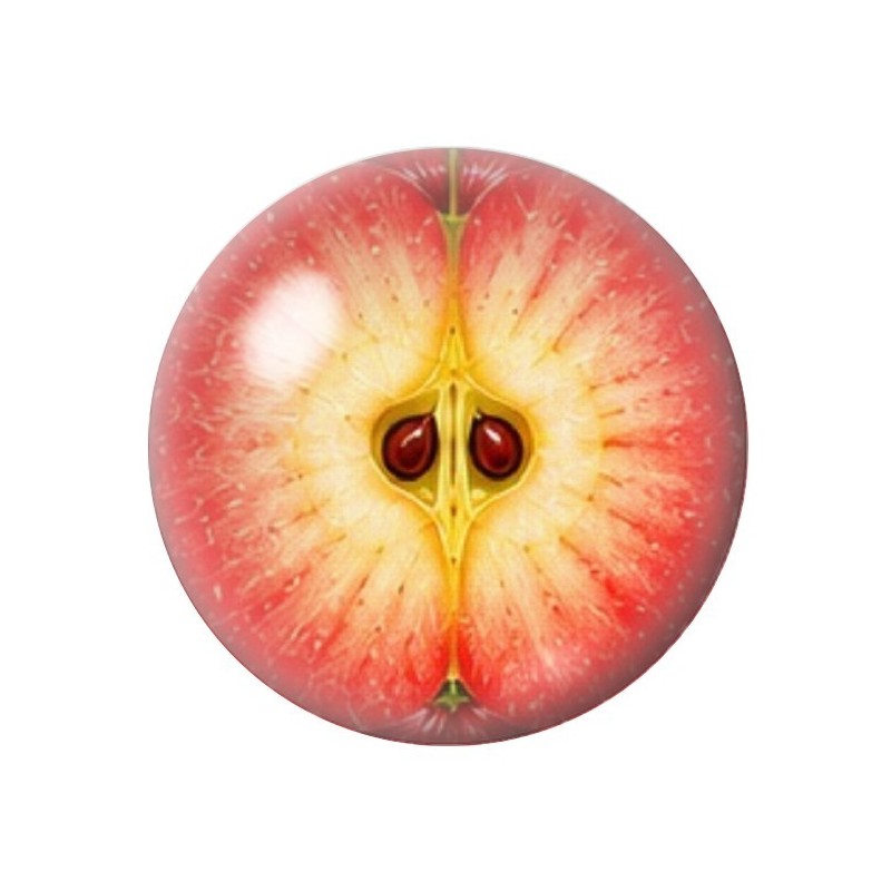 Cabochon en Verre Illustré Pomme Rouge 12 à 25mm