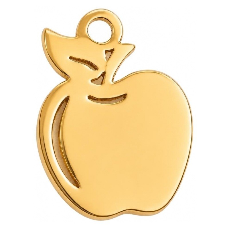 Breloque Pomme en Acier Inoxydable Doré 12x9mm