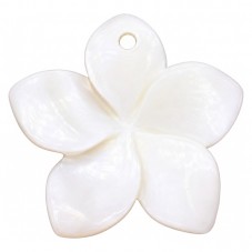Breloque Pendentif Fleur en Nacre Coquillage Naturel d'Eau Douce Blanc 25mm pour la Création de Bijoux Fantaisie - DIY