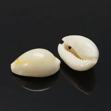 5 Breloques Coquillage Naturel
