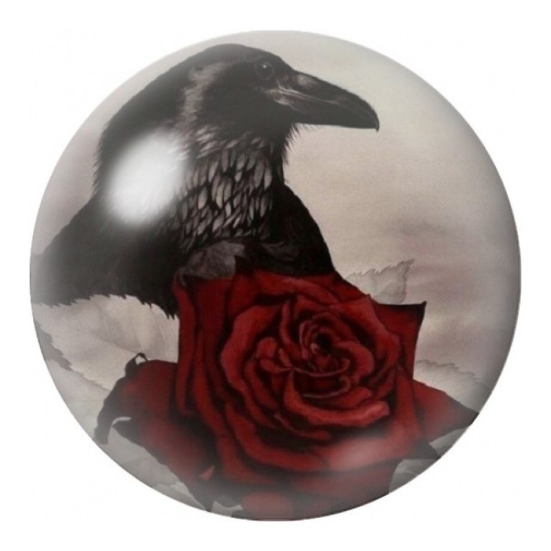 Cabochon en Verre Illustré Corbeau à la Rose Rouge 12 à 25mm