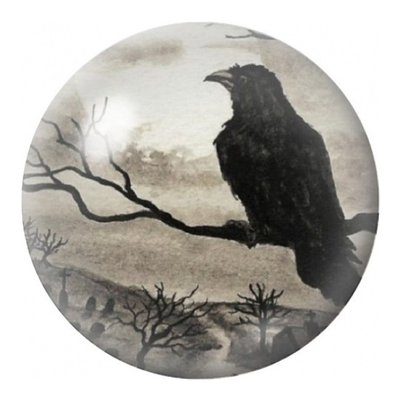 Cabochon en Verre Illustré Corbeau sur la Branche Nue 12 à 25mm