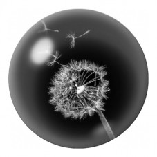 Cabochon en Verre Illustré Pissenlit Blanc sur Fond Noir 12 à 25mm pour la Création de Bijoux Fantaisie - DIY