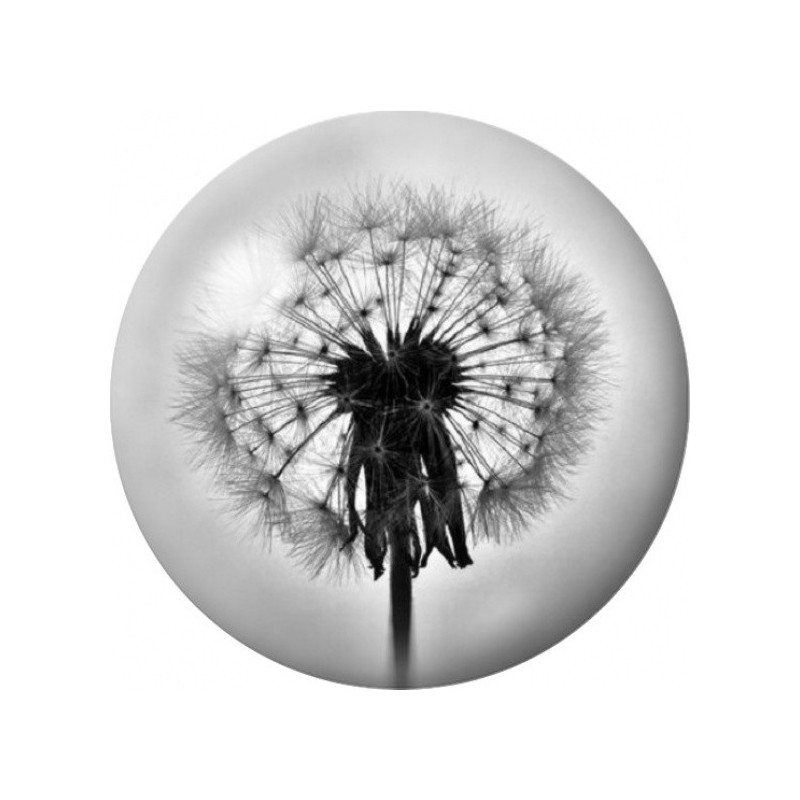 Cabochon en Verre Illustré Pissenlit Noir et Blanc 12 à 25mm