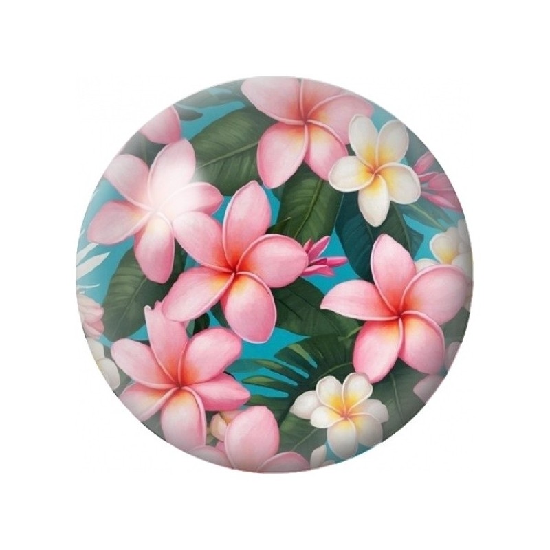 Cabochon en Verre Illustré Fleurs de Frangipanier Roses 12 à 25mm