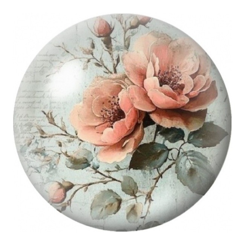 Cabochon en Verre Illustré Roses Pêche Botaniques 12 à 25mm
