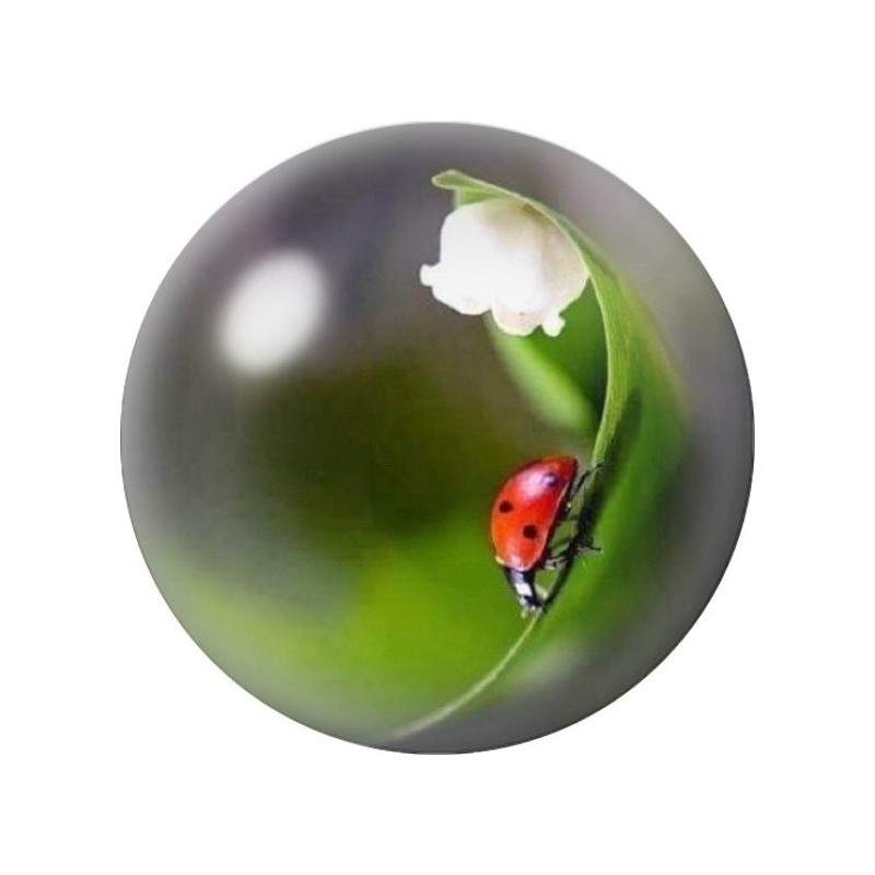 Cabochon en Verre Illustré Coccinelle et Muguet 12 à 25mm
