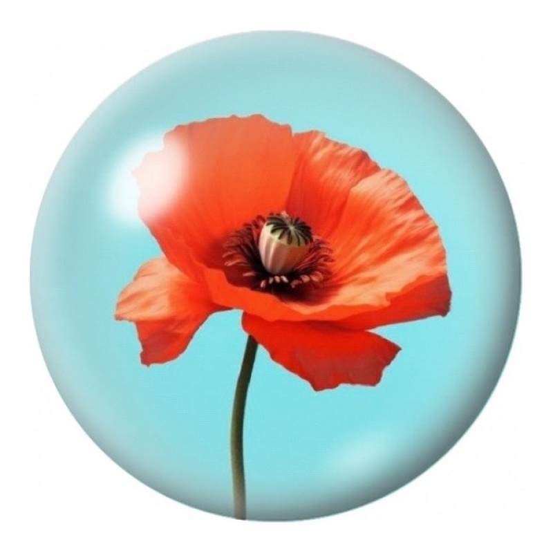 Cabochon en Verre Illustré Coquelicot Rouge sur Turquoise 12 à 25mm