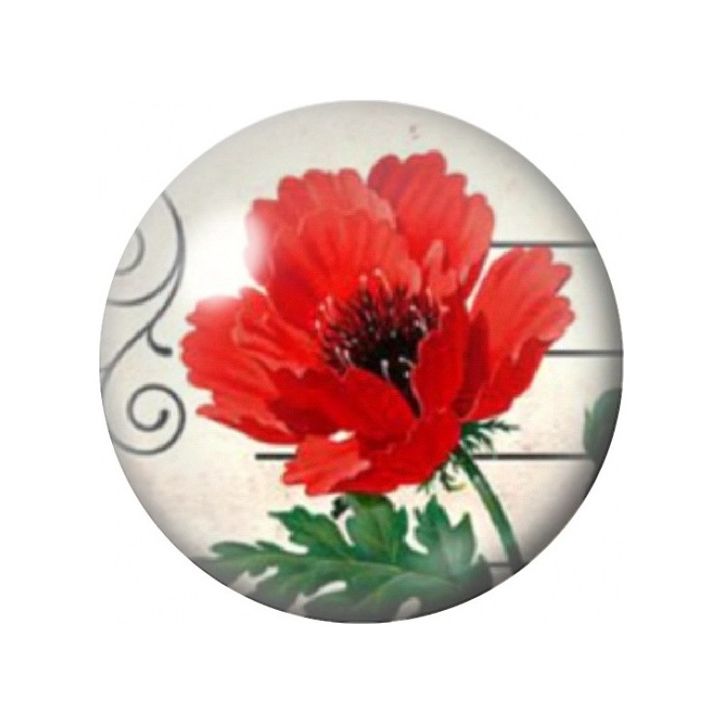 Cabochon en Verre Illustré Grand Coquelicot Rouge en Gros Plan 12 à 25mm