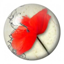 Cabochon en Verre Illustré Coquelicot Rouge de Profil 12 à 25mm pour la Création de Bijoux Fantaisie - DIY