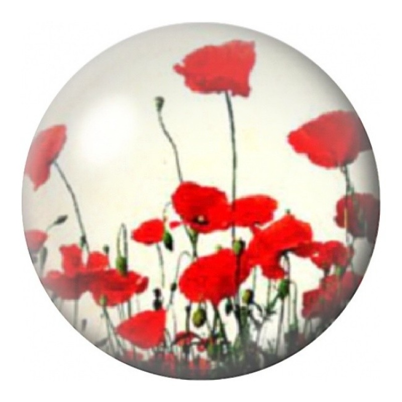 Cabochon en Verre Illustré Champ de Coquelicots Rouges 12 à 25mm