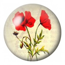 Cabochon en Verre Illustré Deux Coquelicots sur Manuscrit 12 à 25mm pour la Création de Bijoux Fantaisie - DIY