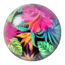 Cabochon en Verre Illustré Fleurs Tropicales Rose et Orange 12 à 25mm pour la Création de Bijoux Fantaisie - DIY