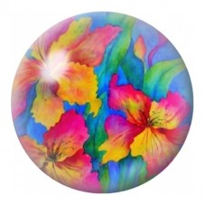 Cabochon en Verre Illustré Fleurs Tropicales Arc-en-Ciel 12 à 25mm pour la Création de Bijoux Fantaisie - DIY